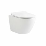 aloni eco wandcloset 49cm diep + zitting softclose rimfree kleur glans wit