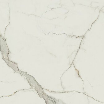 tegel marmi supreme glans gerectificeerd  maat 590x590mm  glans pak a 1.77m2