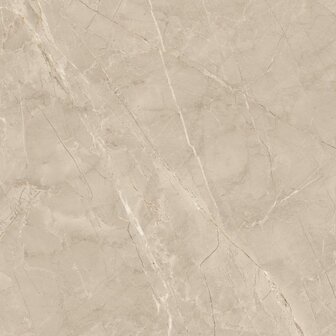 dtg tegel atlantis beige zijde glans 800x800mm  uitverkoop partij a 6.4m2