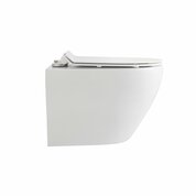 aloni eco wandcloset 49cm diep + zitting softclose rimfree kleur glans wit